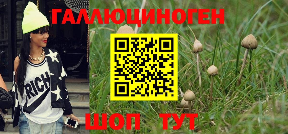 Ипатово  Псилоцибиновые грибы MAGIC MUSHROOMS  Вход с VPN 